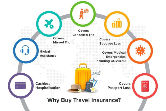 How To Choose The Best Travel Insurance Policy For Your Needs?